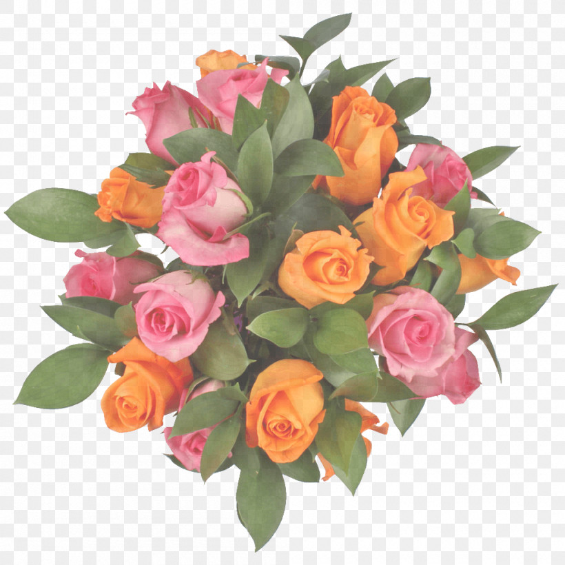 Garden Roses, PNG, 1000x1000px, Garden Roses, Cut Flowers, Floral Design, Flower, Flower Bouquet Download Free