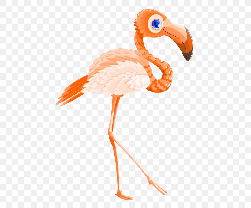 Transparency Image Vector Graphics Clip Art, PNG, 500x680px, Flamingo, Animal Figure, Beak, Bird, Information Download Free