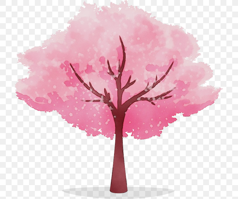 Cherry Blossom, PNG, 717x688px, Watercolor, Blossom, Branch, Cherry Blossom, Flower Download Free