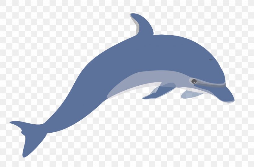 Dolphin Clip Art, PNG, 2457x1619px, Dolphin, Beak, Bottlenose Dolphin, Cetacea, Common Bottlenose Dolphin Download Free
