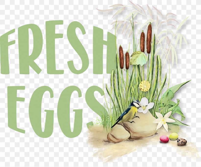 Floral Design, PNG, 3000x2495px, Fresh Eggs, Floral Design, Meter, Paint, Watercolor Download Free