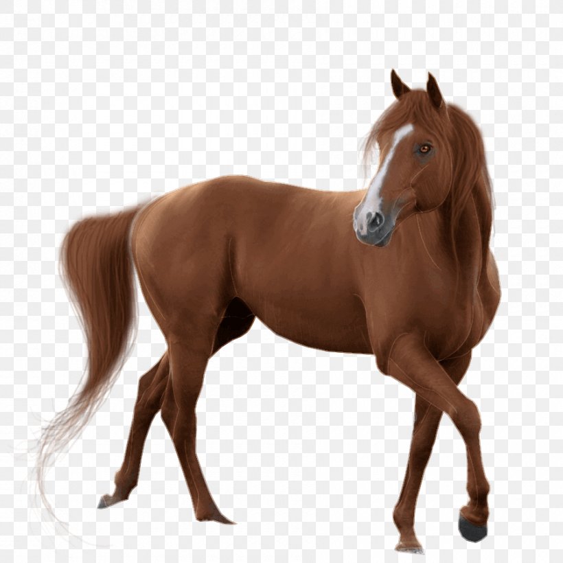 Horse Clip Art Image Mare, PNG, 900x900px, Horse, Animal Figure, Black, Brown, Colt Download Free