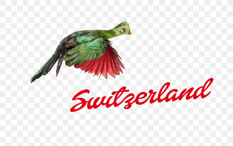 Logo Switzerland Font, PNG, 1920x1200px, Logo, Animal, Beak, Bird, Fauna Download Free
