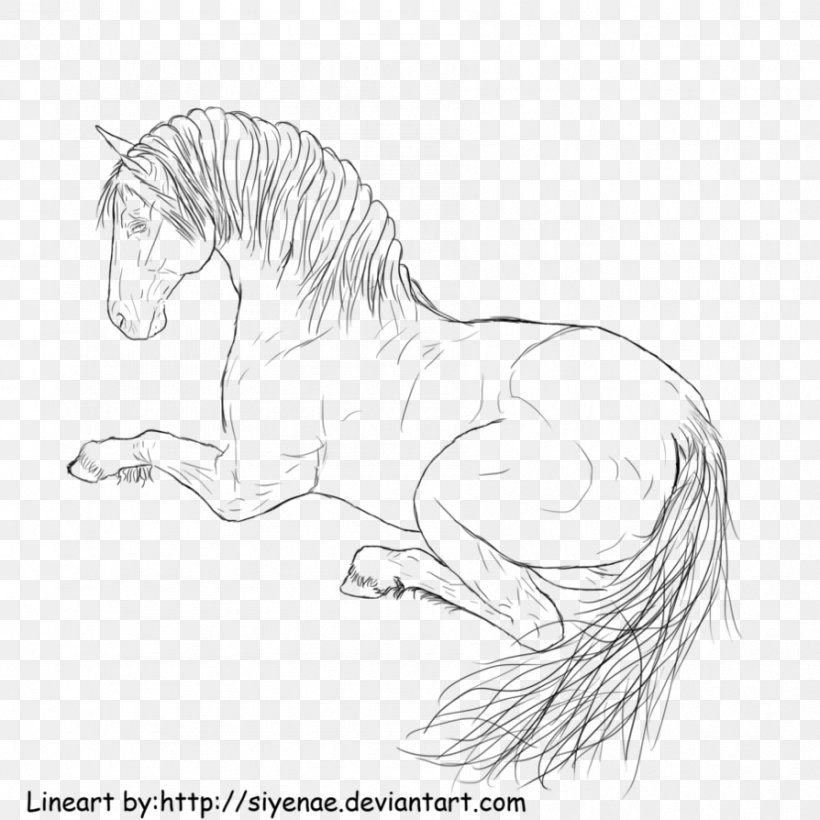 Mane Line Art Pony Mustang Coloring Book, PNG, 894x894px, Mane, Animal Figure, Arm, Artwork, Black And White Download Free