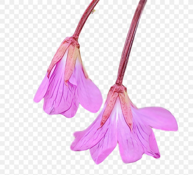 Pink Flower Violet Plant Petal, PNG, 1398x1270px, Spring Flower, Flower, Flowers, Jewellery, Paint Download Free