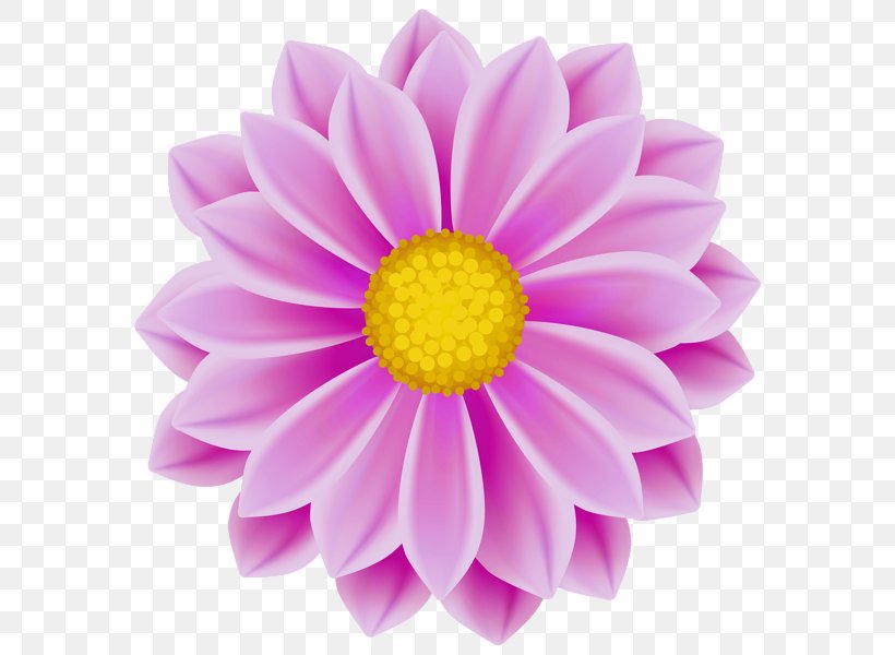 Pink Flowers Clip Art, PNG, 583x600px, Pink Flowers, Art, Blue, Chrysanths, Dahlia Download Free