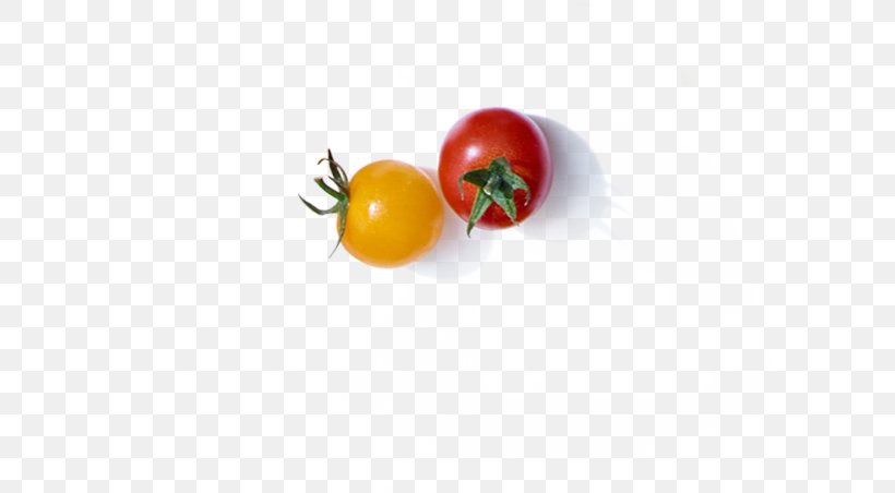 Bush Tomato Vegetarian Cuisine Diet Food, PNG, 597x452px, Tomato, Bush Tomato, Diet, Diet Food, Food Download Free