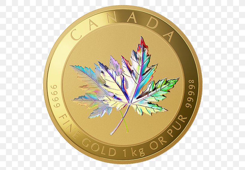 Canada Canadian Gold Maple Leaf Gold Coin, PNG, 570x570px, Canada, Canadian Gold Maple Leaf, Canadian Silver Maple Leaf, Coin, Gold Download Free