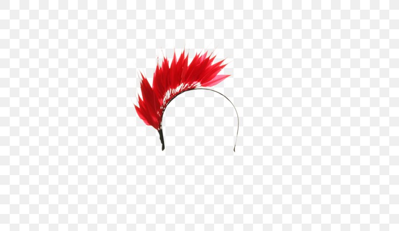 Feather, PNG, 583x475px, Feather, Hat, Headpiece, Quill, Red Download Free
