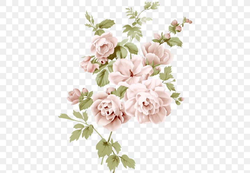 Garden Roses Cabbage Rose Cut Flowers Floral Design Flower Bouquet, PNG, 442x569px, Garden Roses, Artificial Flower, Blossom, Branch, Cabbage Rose Download Free
