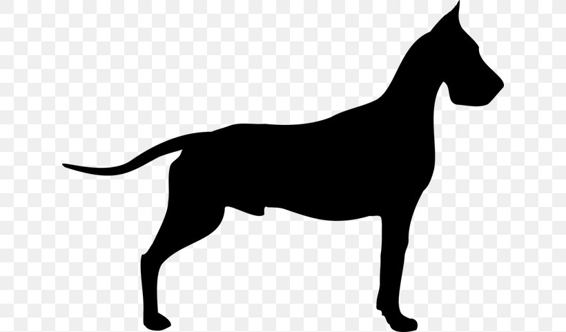 Great Dane Dogue De Bordeaux Old Danish Pointer Poodle Clip Art, PNG, 640x481px, Great Dane, Black And White, Breed, Canidae, Carnivoran Download Free