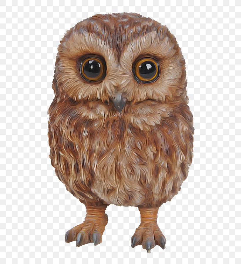 Owl Bird Bird Of Prey Brown Animal Figure, PNG, 583x900px, Owl, Animal Figure, Beak, Bird, Bird Of Prey Download Free