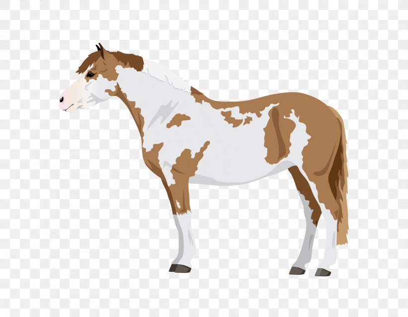 Pony Mustang Stallion Foal Sorrel, PNG, 1800x1400px, Pony, Animal Figure, Black, Colt, Equine Coat Color Download Free