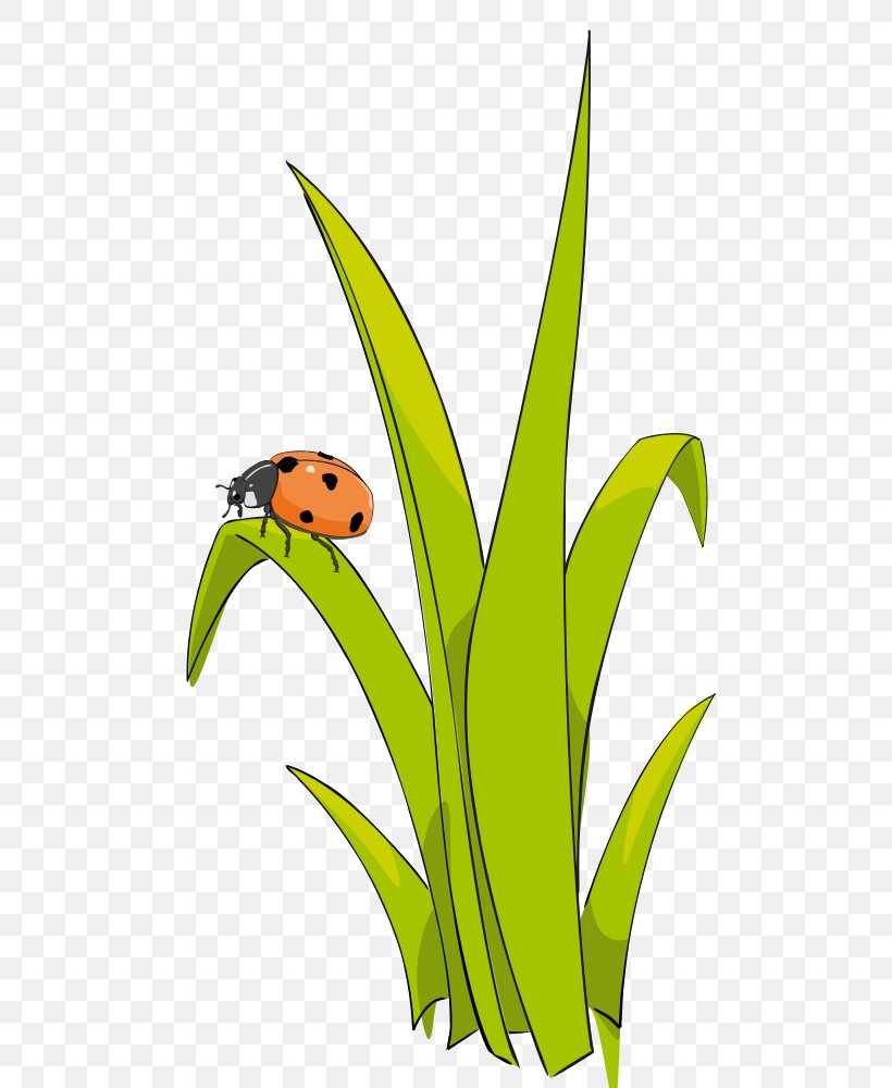 Clip Art, PNG, 560x1000px, Blog, Artwork, Document, Fictional Character, Flora Download Free