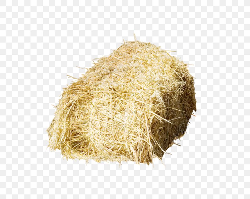 Haystack Straw Bale, PNG, 699x655px, Haystack, Ahuntz, Cereal Germ, Chaff, Commodity Download Free