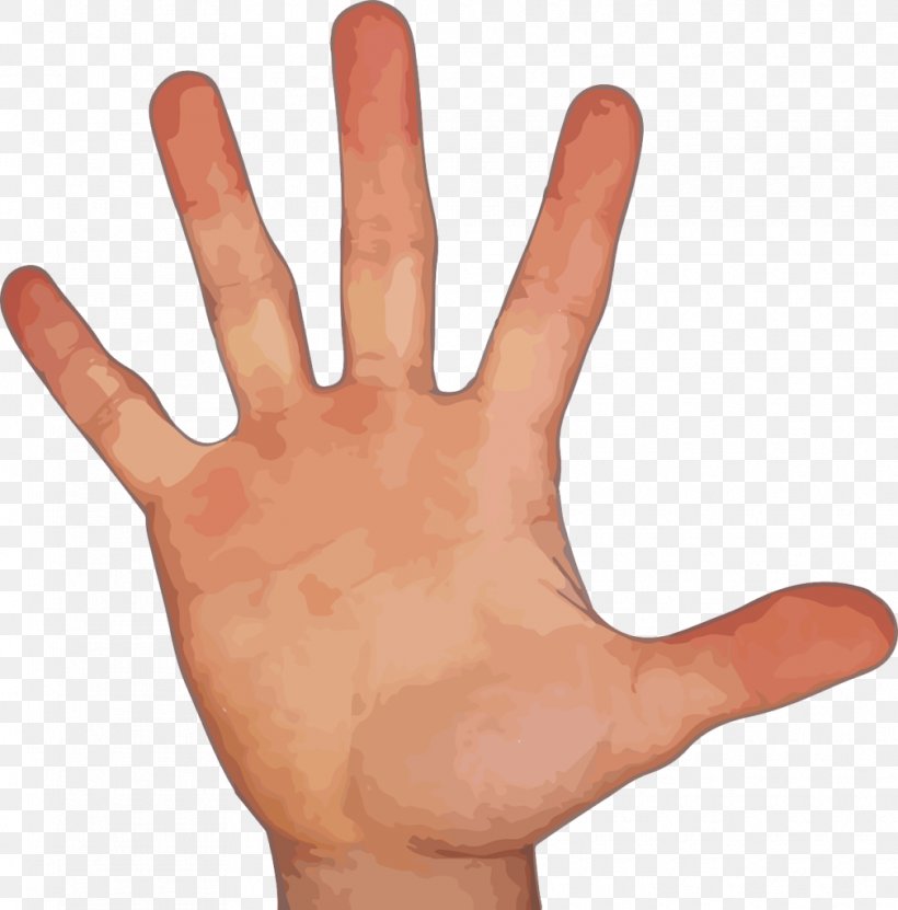 Index Finger Middle Finger Clip Art, PNG, 1010x1024px, Finger, Arm, Digit, Hand, Hand Model Download Free