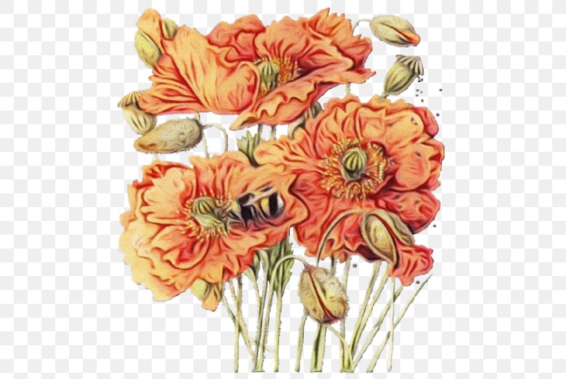 Orange, PNG, 500x549px, Watercolor, Bouquet, Cut Flowers, Flower, Flowering Plant Download Free