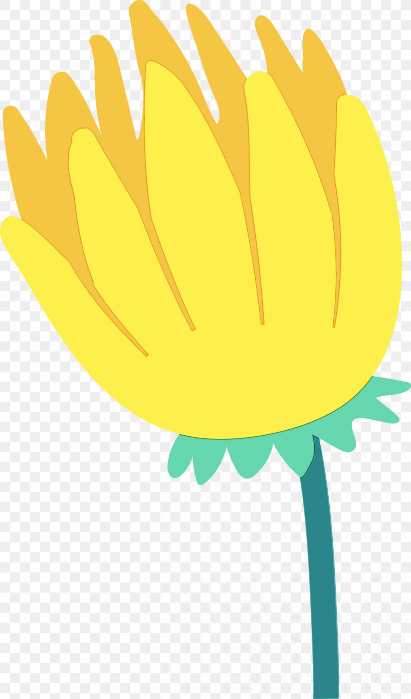 Sunflower, PNG, 1767x3000px, Brazil Elements, Biology, Brazil Culture, Commodity, Fruit Download Free