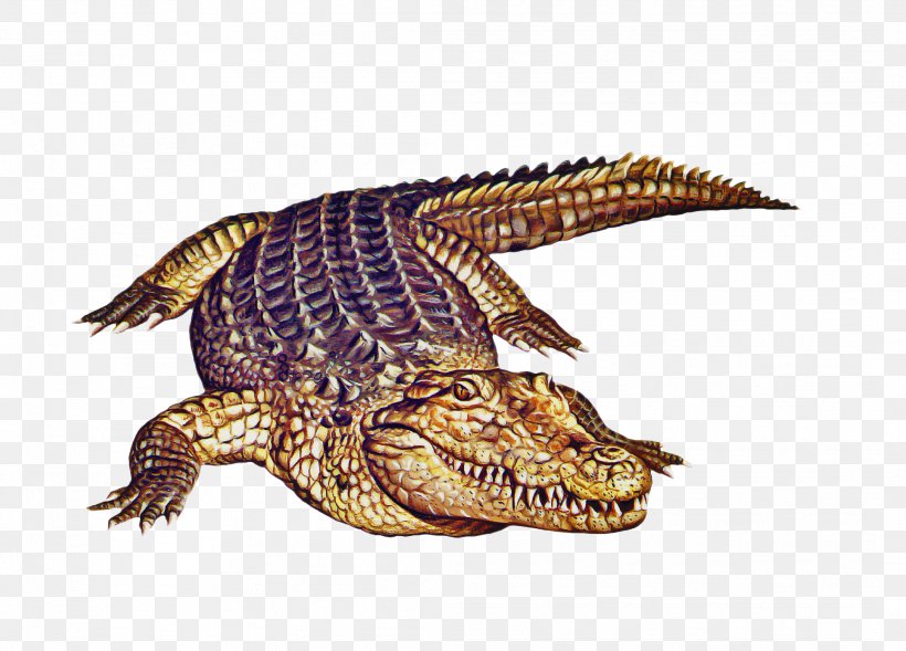 Turtle Drawing, PNG, 2118x1523px, Nile Crocodile, Alligator, Alligators, American Alligator, American Crocodile Download Free
