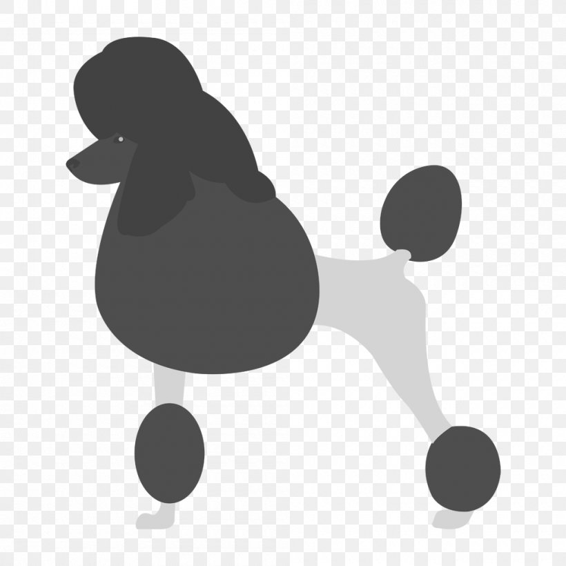 Maltese Dog Chihuahua Pembroke Welsh Corgi Toy Dog, PNG, 1000x1000px, Maltese Dog, Animal, Beak, Bird, Black Download Free