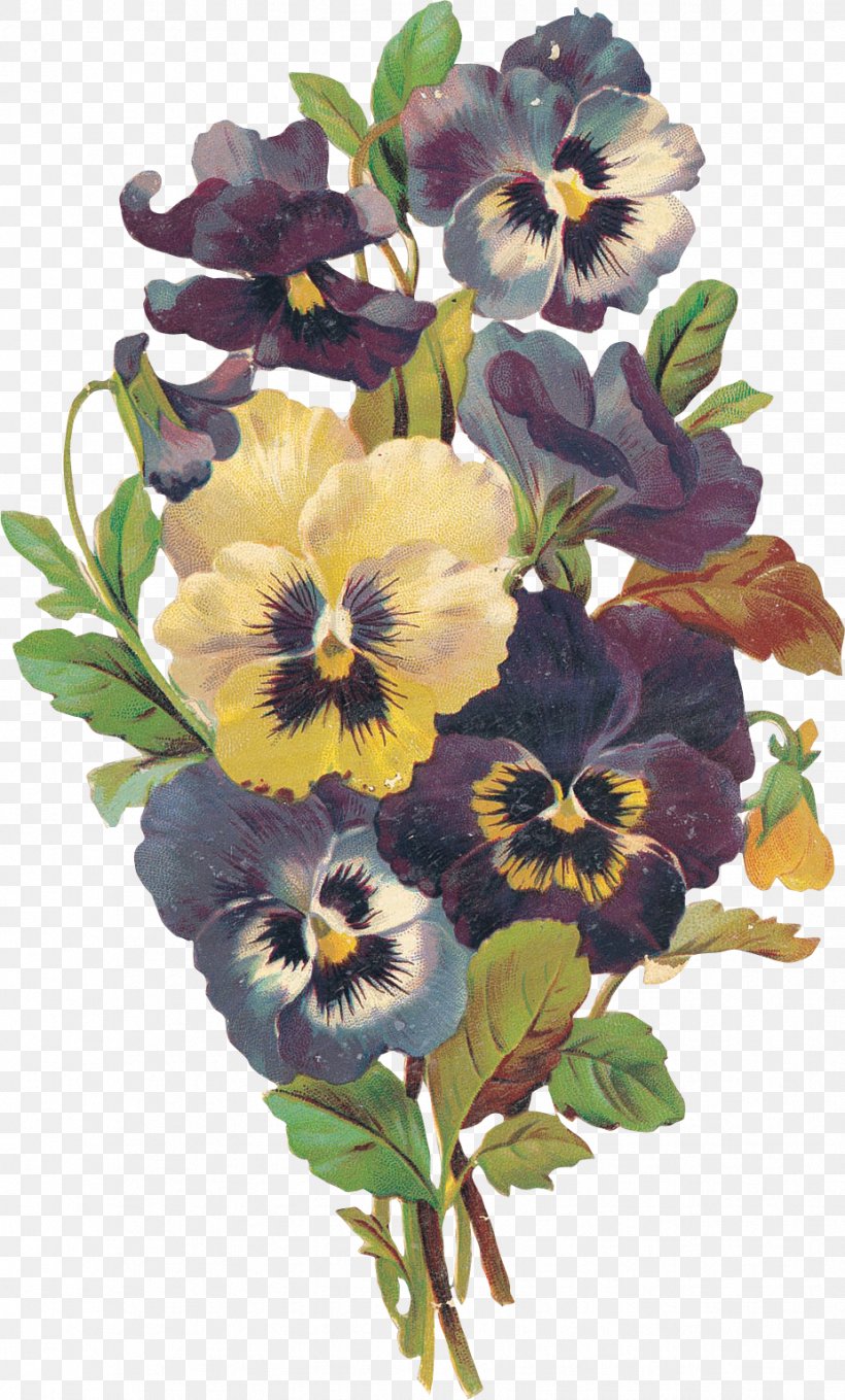 Pansy Flower Violet Blume, PNG, 926x1535px, Pansy, Annual Plant, Blume, Cut Flowers, Floral Design Download Free