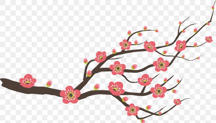 Plum Flower, PNG, 2508x1438px, Drawing, Blossom, Branch, Cherry Blossom, Flower Download Free