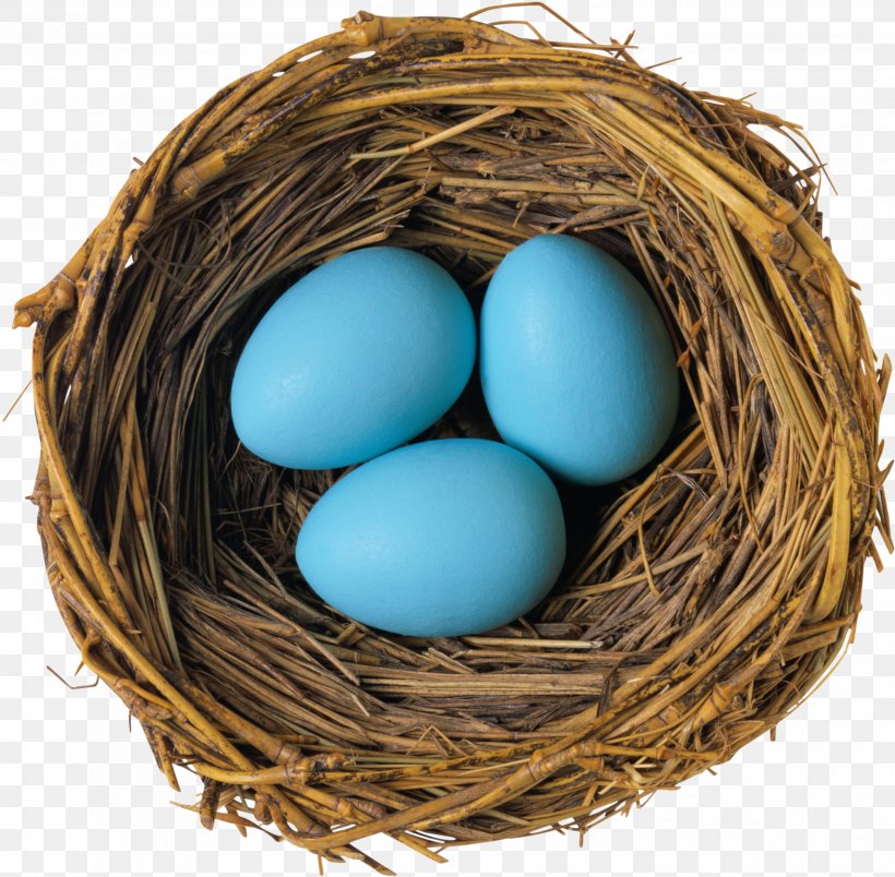 Bird Nest Bird Egg, PNG, 2576x2528px, Bird, American Robin, Beak, Bird Egg, Bird Nest Download Free