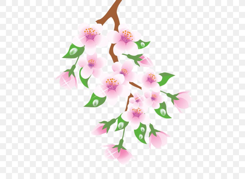 Branch Flower Floral Design Clip Art, PNG, 509x600px, Branch, Blossom, Cherry Blossom, Cut Flowers, Diagram Download Free