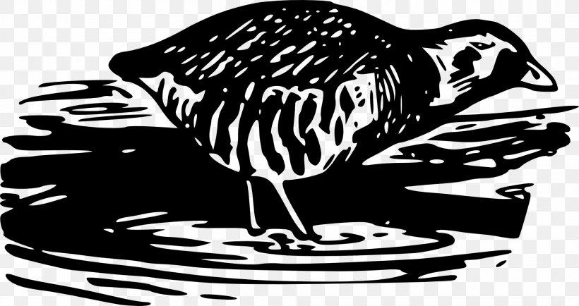 Drawing Clip Art, PNG, 1920x1018px, Drawing, Beak, Bird, Black And White, Cartoon Download Free