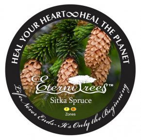 Plantes, Graines Et Bulbes Christmas Ornament ProductSyrups Flyer Design - Sitka Spruce Nature's Essential Garden Spruce Oil 10 Ml Epicea De Sitka Picea Sitchensis PNG