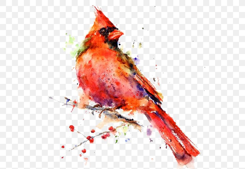 Bird Watercolor Painting Drawing Canvas Print, PNG, 564x564px, Bird, Art, Art Museum, Artist, Beak Download Free