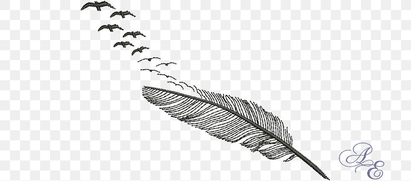 Feather Bird Of Prey Goose Bird Flight, PNG, 722x361px, Feather, Bird, Bird Flight, Bird Of Prey, Black And White Download Free