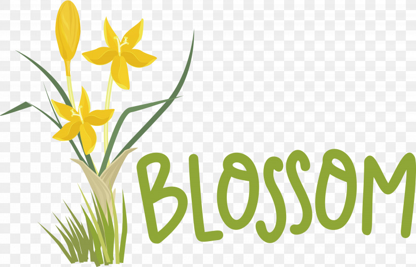 Floral Design, PNG, 6274x4029px, Floral Design, Cut Flowers, Daffodil, Flower, Grasses Download Free