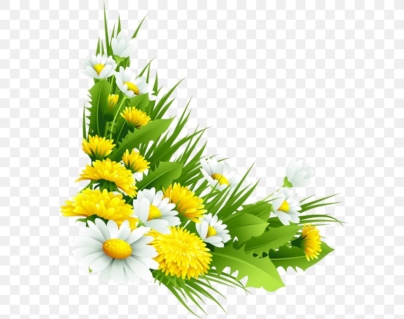 Plant Flower Chrysanthemum Tea Chrysanthemum Indicum, PNG, 600x649px, Plant, Aster, Cdr, Chamaemelum Nobile, Chamomile Download Free