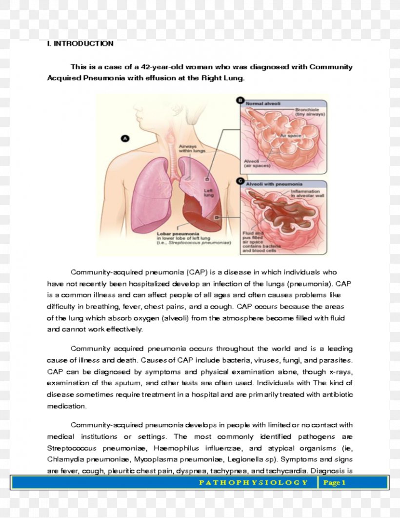 Pneumonia Tuberculosis Lung Disease Infection, PNG, 850x1100px, Watercolor, Cartoon, Flower, Frame, Heart Download Free