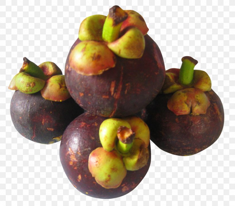 Purple Mangosteen Download, PNG, 1434x1257px, Purple Mangosteen, Apple, Color, Computer Graphics, Editing Download Free