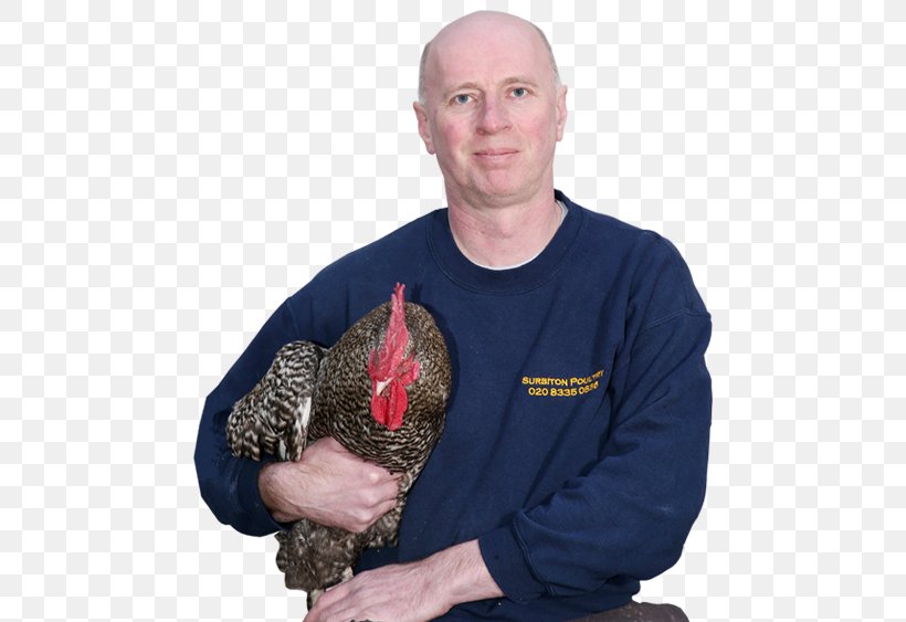 Surbiton Poultry T-shirt Sweater Neckline Jacket, PNG, 501x563px, Tshirt, Animal, Cuff, Finger, Helly Hansen Download Free
