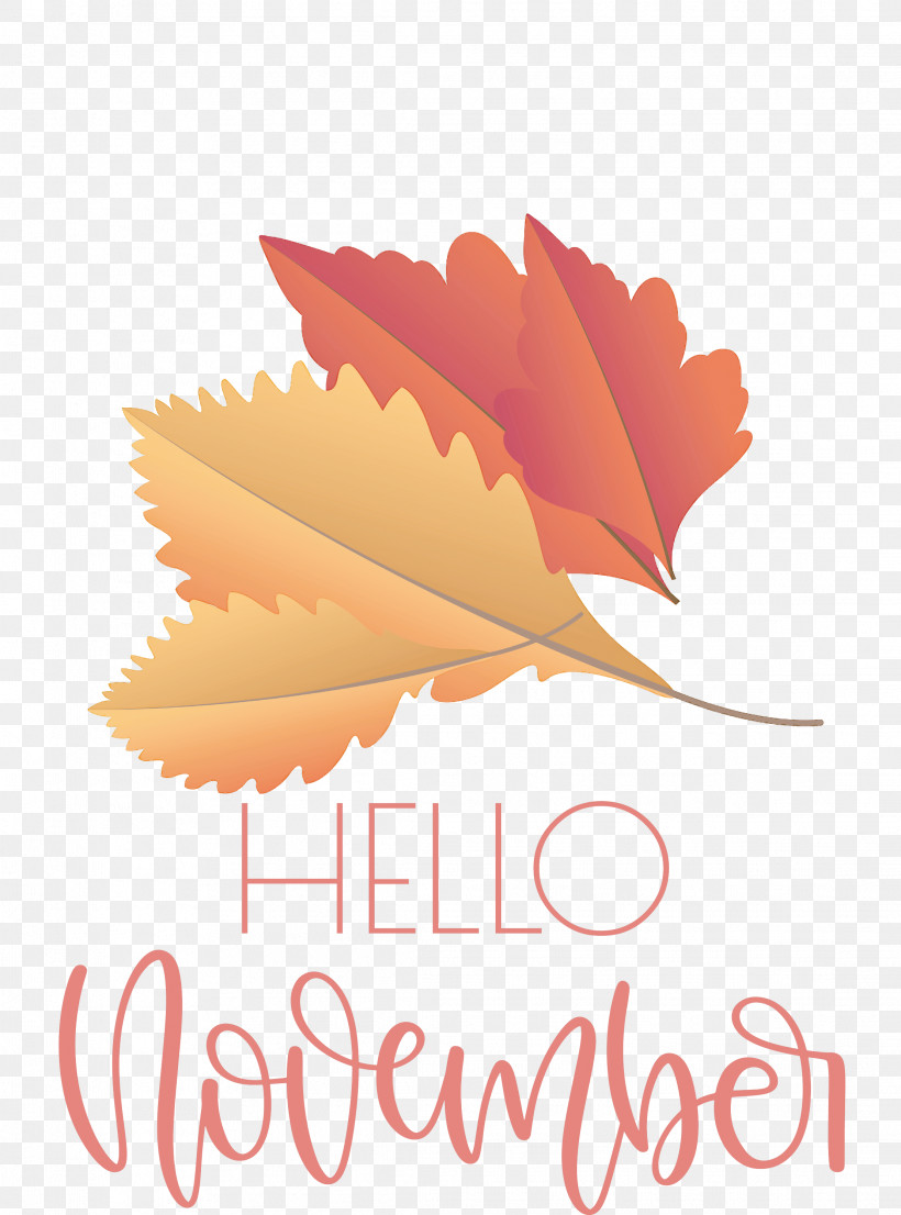 Hello November November, PNG, 2222x2999px, Hello November, Biology, Flower, Leaf, Logo Download Free