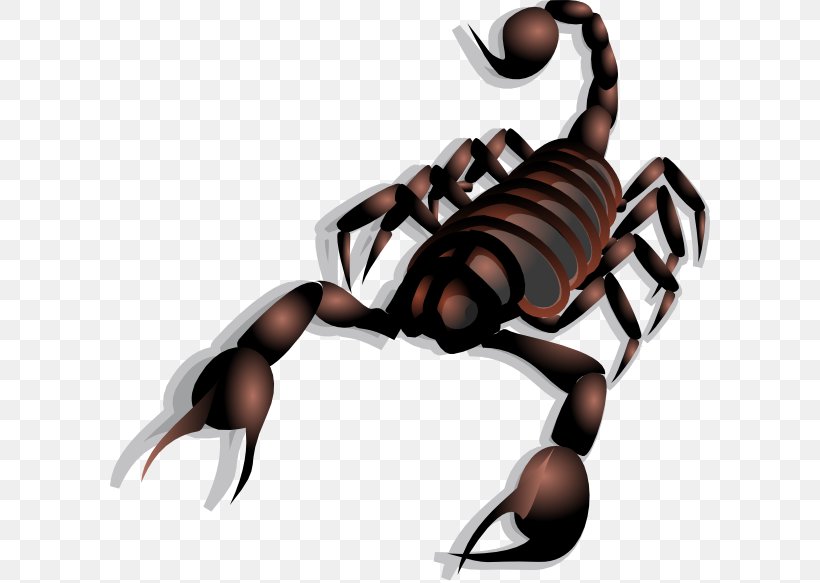 Scorpion Clip Art Openclipart Vector Graphics Free Content, PNG, 600x583px, Scorpion, Arachnid, Arthropod, Claw, Decapoda Download Free