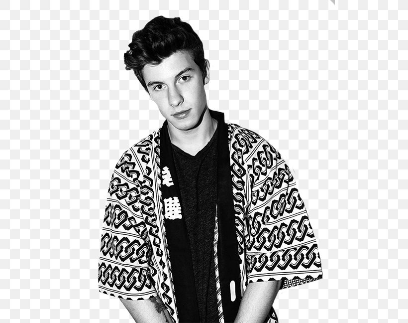Shawn Mendes There's Nothing Holdin' Me Back Desktop Wallpaper I Know What You Did Last Summer, PNG, 527x648px, Shawn Mendes, Black And White, Camila Cabello, Cardigan, Drawing Download Free