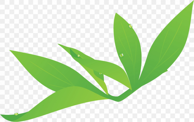 Leaf Plant Stem Grasses 아임미용학원 Branch, PNG, 865x545px, Leaf, Biology, Branch, Eunpyeonggu, Flowerpot Download Free
