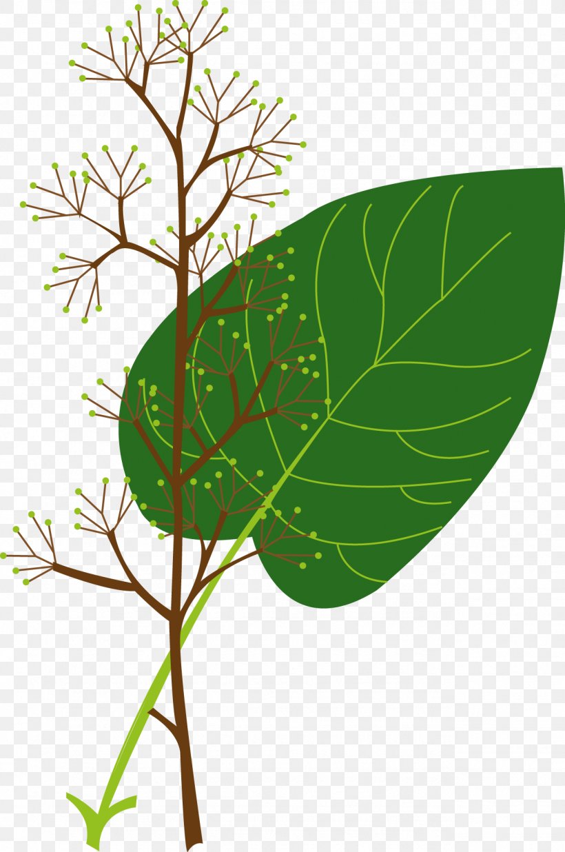 Plants Background, PNG, 1284x1936px, Branch, Autogen, Autogenic Training, Flora, Flower Download Free