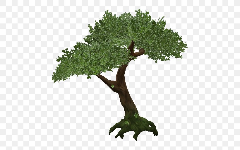 Tree Jungle, PNG, 512x512px, Tree, Birch, Bonsai, Branch, Deciduous Download Free