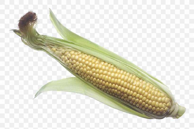 Corn On The Cob Maize Sweet Corn Corncob Clip Art, PNG, 958x639px, Corn On The Cob, Commodity, Cooking, Corncob, Ear Download Free