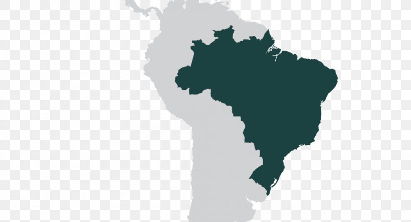 Empire Of Brazil Independence Of Brazil Map, PNG, 1000x542px, Brazil, Blank Map, Child, Contour Line, Empire Of Brazil Download Free