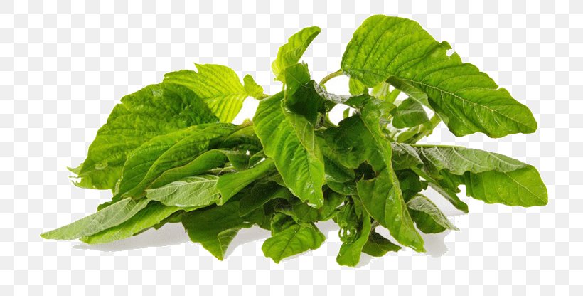 Callaloo Spinach Vegetable Herb Cauliflower, PNG, 800x416px, Callaloo, Basil, Cauliflower, Cherry Tomato, Collard Greens Download Free