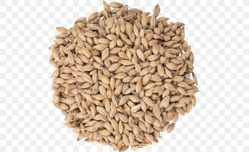 Oat Beer Pilsner German Pils Weyermann Malting Company, PNG, 500x500px, Oat, Avena, Beer, Brewery, Brewing Download Free