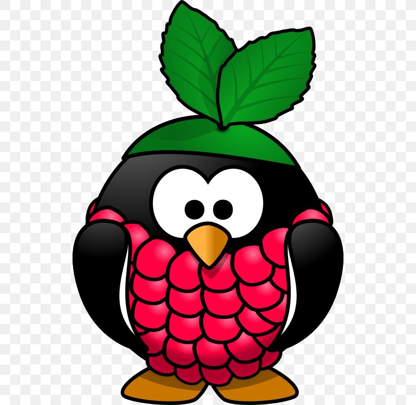 Penguin Raspberry Pi Clip Art, PNG, 534x800px, Penguin, Artwork, Beak, Berry, Bird Download Free