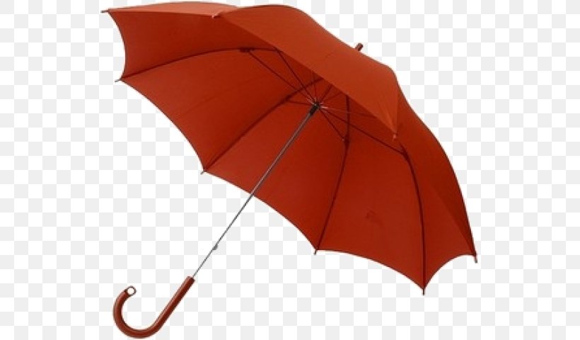 Umbrella Muji 傘 Clothing Rain, PNG, 535x480px, Umbrella, Clothing, Fashion Accessory, Household Goods, Mail Order Download Free