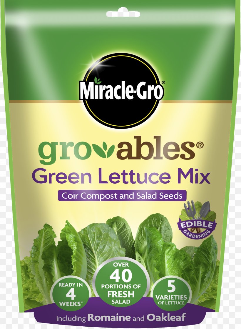 Romaine Lettuce Miracle-Gro Salad Herb, PNG, 1906x2600px, Romaine Lettuce, Cherry Tomato, Food, Fruit, Garden Download Free